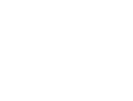 vision vision