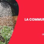 ACTIVATION : Cours ouvert sur la Communication