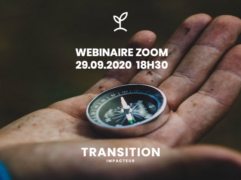 Webinaire Zoom du programme TRANSITION